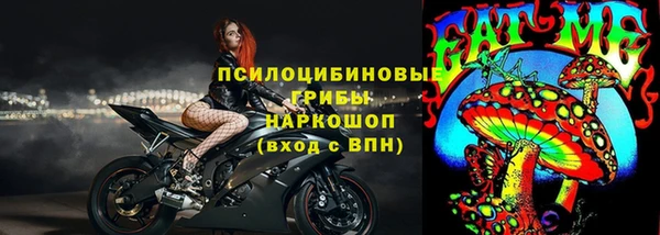 ГАЛЛЮЦИНОГЕННЫЕ ГРИБЫ Абинск